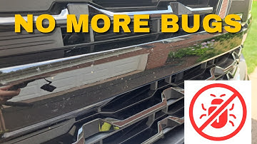 Easiest Way to Remove Bugs from Your Car