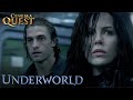 Underworld  vampires hunt lycans on the train ftkate beckinsale  cinema quest