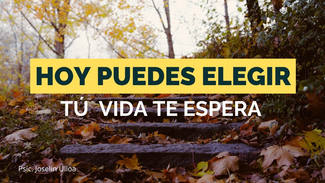 Meditación para Conectar con tu Propósito 🌱 | La Vida te Da Otra ...