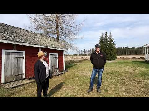 Video: Onko heinänteko työ vai loma venäläisen talonpoikaisperinteessä?