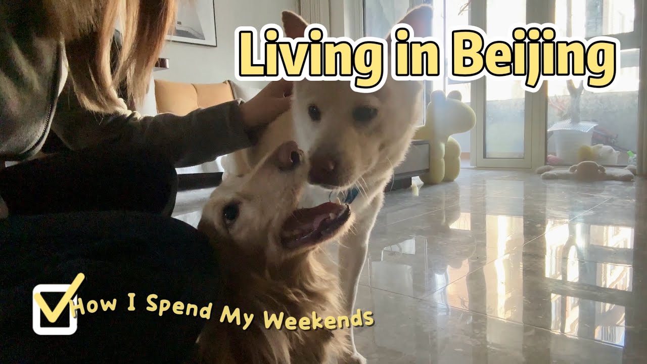 How I Spend My Weekends In Beijing? Walk dogs, attend wedding party | LuluChinaDiary