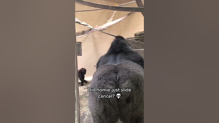Gorilla really slid like that. 💀💀 #shorts