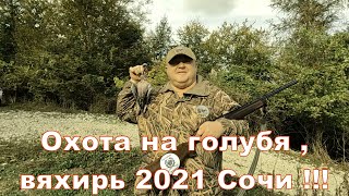 Охота на голубя | Вяхирь | 2021 | Сочи |  Грибы | Форель !!!