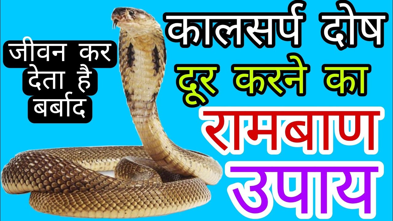 Kitne Din Me Milta Hai kaal Sarp Puja Ka Fal, Kaal Sharp Ka Achuk Upay
