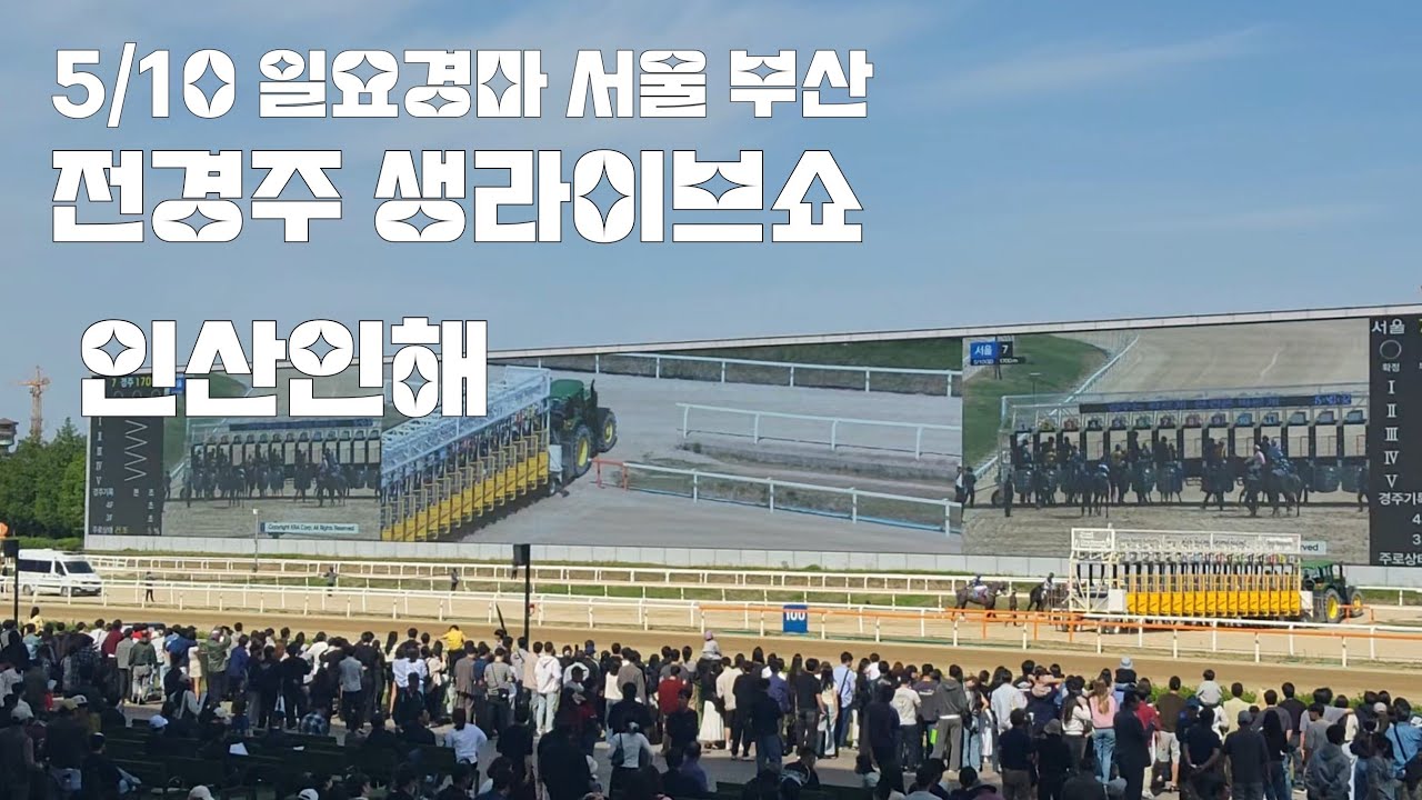 믿고때리면 안들이대고 멍때리면 들이대고 경마 이거 참 어렵구만?