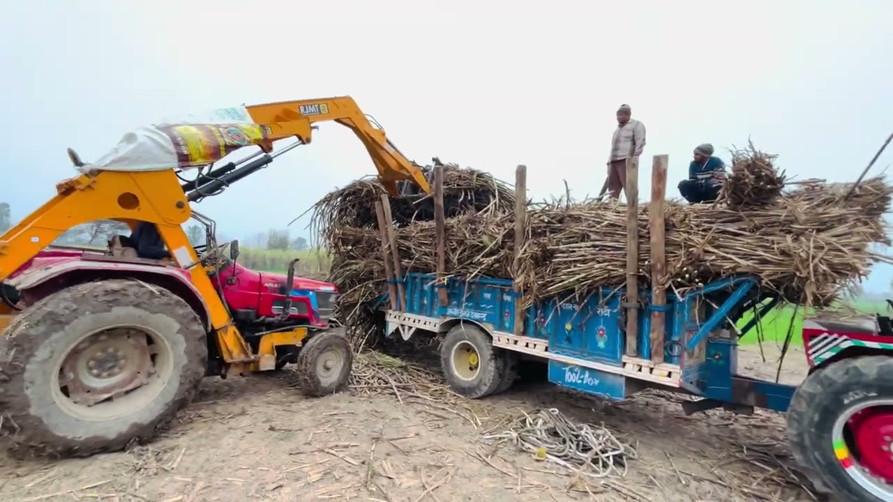 Raja# King#395❤️🦅￼