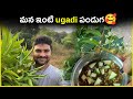 మన ఇంటి ugadi పండుగ🥰||#maheshdesu #nenuvloggeravutha