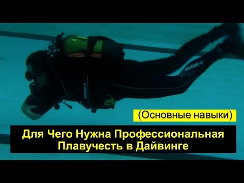 Для Чего Нужна Профессиональная Плавучесть в дайвинге