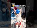 猫にここまで待遇いい会社、普通に入りたいw #猫 #猫動画 #ゴロゴロ音聞く仕事をしたい #猫のいる暮らし #癒し動画 #shorts