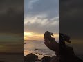 Flores (Titãs) - por do sol da praia da Gamboa (Morro de São Paulo)