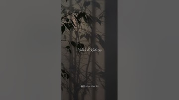 أفانت تهدي العمي ولو كانوا لايبصرون | القارئ عبدالرحمن مسعد