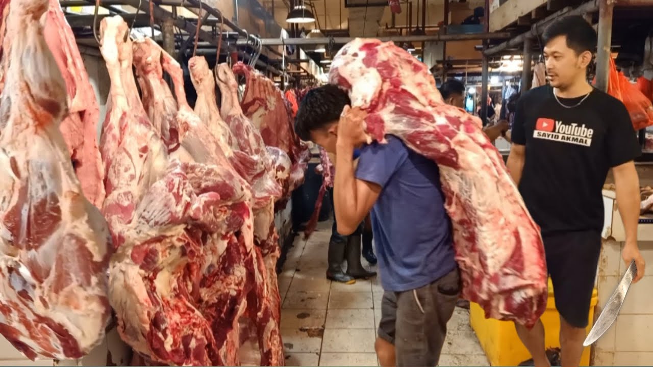MOTONG 2 EKOR SAPI LIMOUSIN JUMBO❗PROSES BONING DAGING SAPI BARU TURUN DARI JAGAL