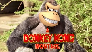 YOU CAN'T ESCAPE THE APE: A Smash Bros Ultimate Montage