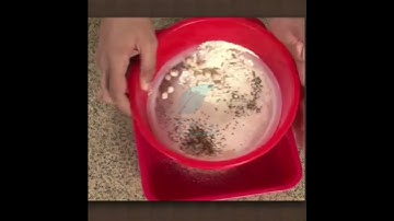 NCERT Solutions for Class 6 Science Chapter 5 Hindi Medium