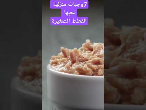 7وجبات تحبها القطط من اكل المنزل أكل القطط