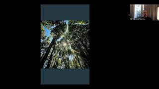 Guided Meditation with Mary Oliver, "Messenger" and a reflection question