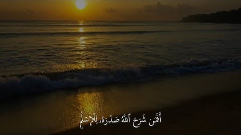 ‎سورة الزمر الآية 22 | القارئ عمر سيلدينسكي