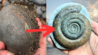 How I Prepare Fossils  Amazing Ammonite Transformation