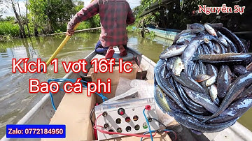Test kích cá tổng hộp 16fet vợt nước ngọt phèn bắt cá lóc trê phi Bao Cá Lên