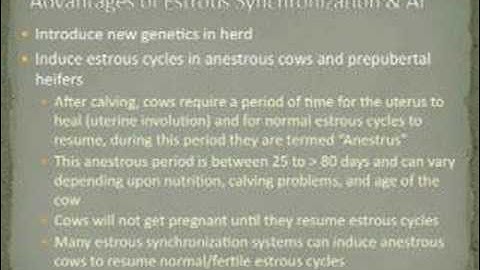 Advantages of AI and Estrous Synchronization