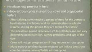 Advantages of AI and Estrous Synchronization