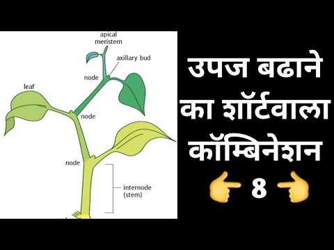 वीडियो: क्या इंटर्नोड का स्वामित्व आईनेट के पास है?