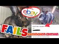 ebay Kleinanzeigen Fails  Kaninchen Edition - YouTube