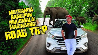 Muthanga,Bandipur,Mudumalai,Masinagudi Road Trip | 3 Reserved Forest |