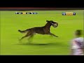 El perro ms futbolero de bolivia