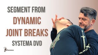 Segment from Dynamic Joint Breaks