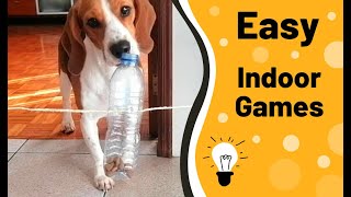 5 Fun Brain Games In Quarantine For My Dog | BEAGLE