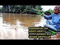 Mancing udang galah dari malam sampai pagi,terlalu banyak udang seperti ini
