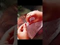 pepar pej pr shampoo hand wash labe tam ke liye #shortvideo #viral #trending #youtube #my_new_post