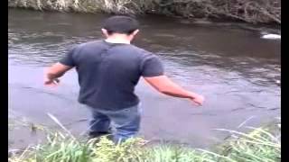 Apuesta Río Quilque