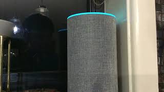 Alexa…play rickroll…