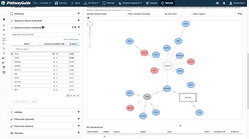 Constructing Networks in iPathwayGuide