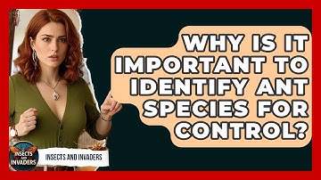 Why Is It Important To Identify Ant Species For Control? - Insects and Invaders