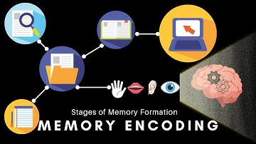 Memory Encoding - Types of Memory Encoding and Factors Negatively impacting Memory Encoding
