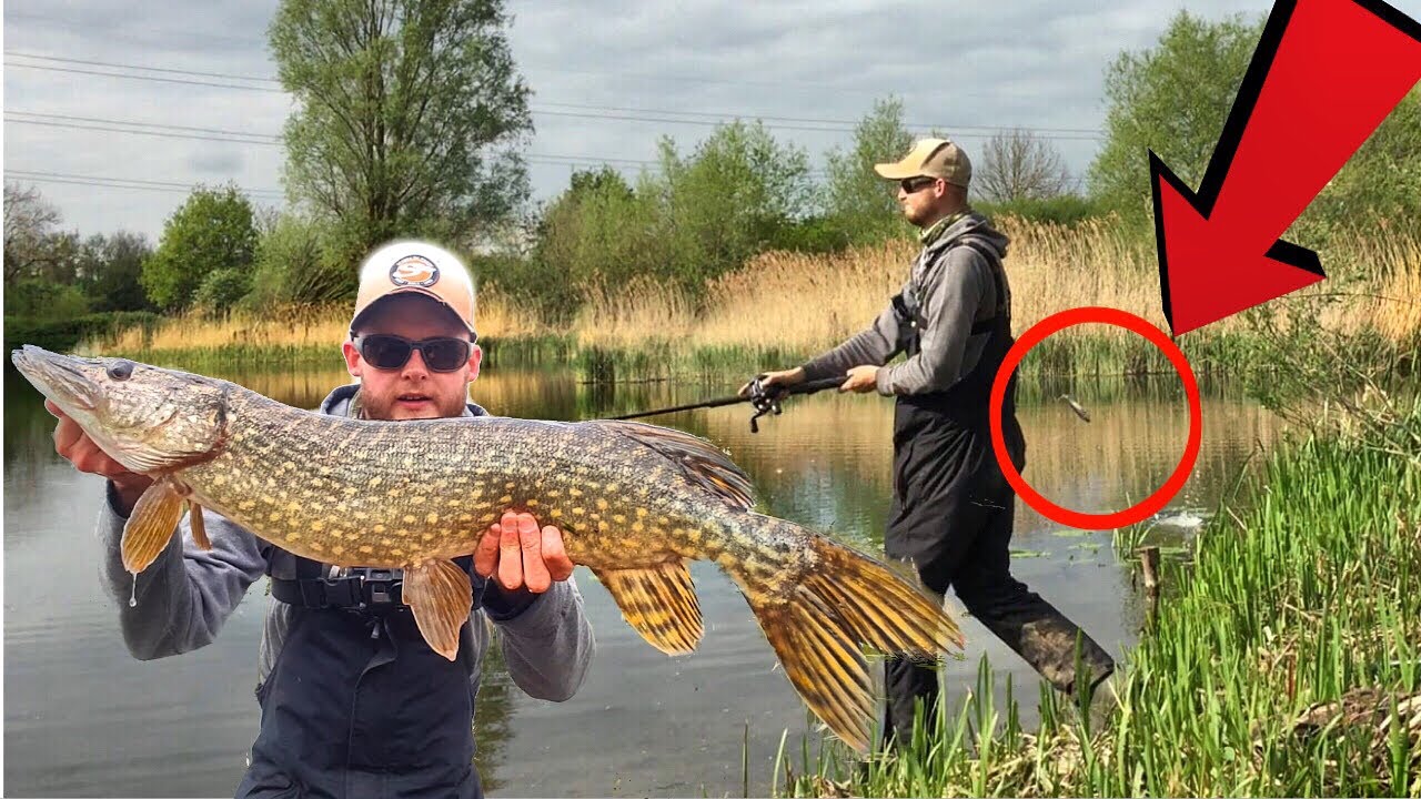 UK Pike Lure Fishing (this HURT!) YouTube