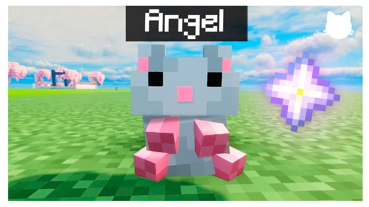 🤩MI NUEVO HAMSTER!