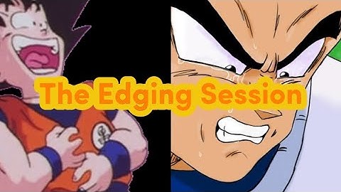 Goku and Vegeta