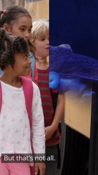 interesting-facts-about-giant-squid-youtube