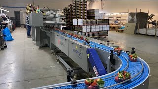 Novatec S.A. - Selection, Weighing & Packing Line for Strawberries