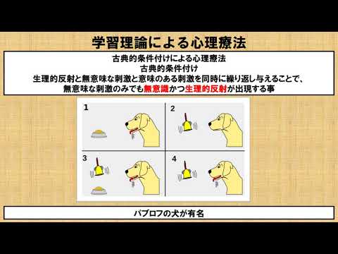 心理療法の種類　～No 11 理学療法士国家試験対策　シリーズ～