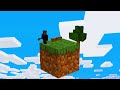 Minecraft hardcore one block skyblock 1