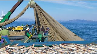 South Korean fishing technique to catch fish, abundant results