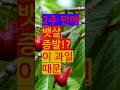 2주만에 뱃살 증발! 이 과일 때문