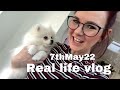 Bluetits hatching , gardening &amp; puppies 7 May 2022 real life vlog