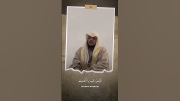 مت تلاوات القارئ هيثم الدخين #هيثم_الدخين #قرآن #تلاوة_خاشعة #تلاوات #religion #viral