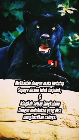 story wa keren. Panglima kumbang (lihatlah dunia ini dengan mata terpejam)